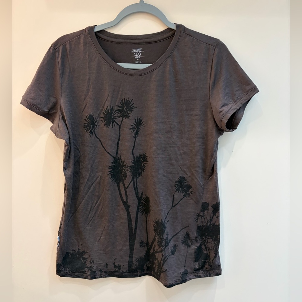Icebreaker Merino Wool Graphic Tee